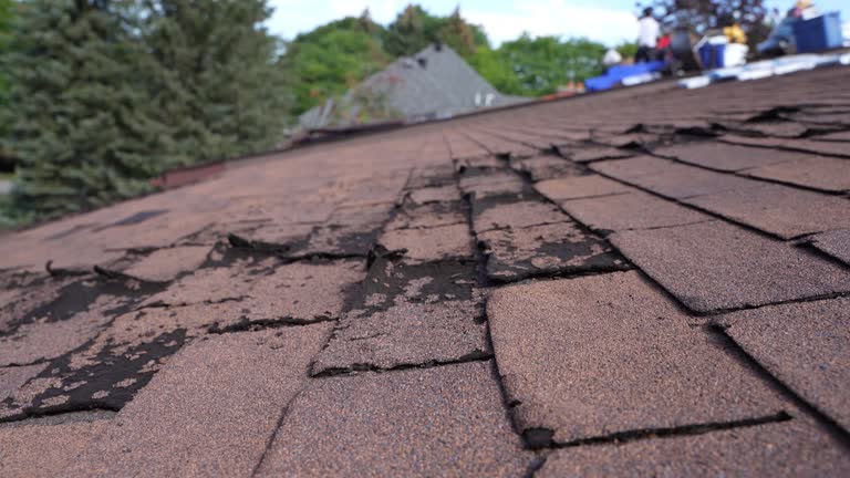 Best Roof Leak Repair  in Sandpoint, ID