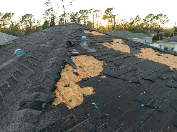 Best Commercial Roofing Services  in Sandpoint, ID